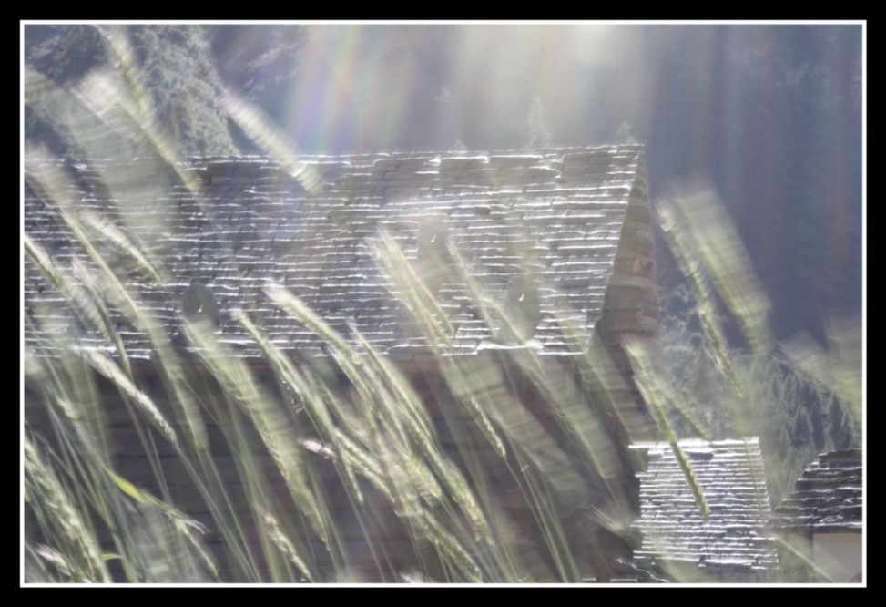 La segale e la baita