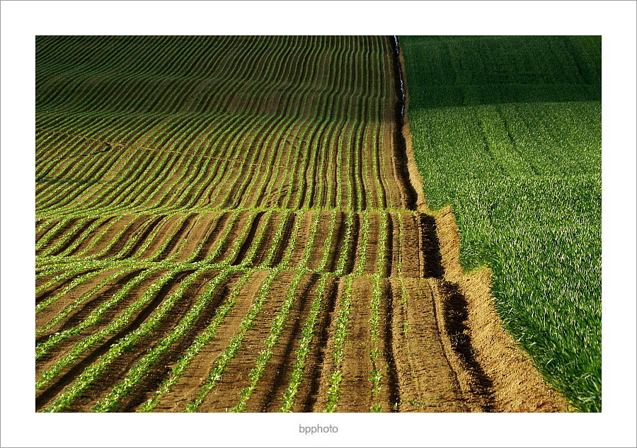 ...ondulazioni III...