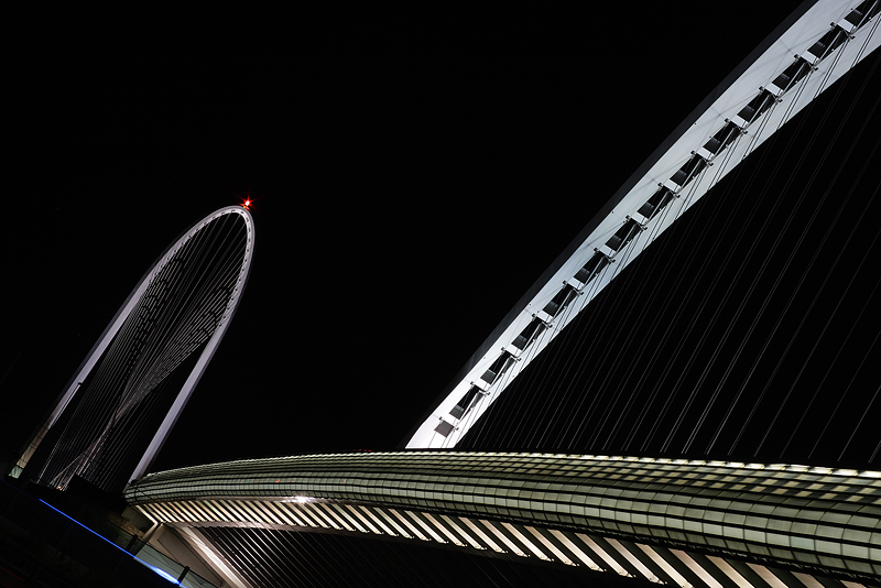 [Raduno Photo4U Reggio Emilia] Ponte di Calatrava