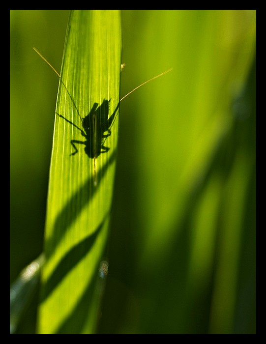un..due...tre per te !!!