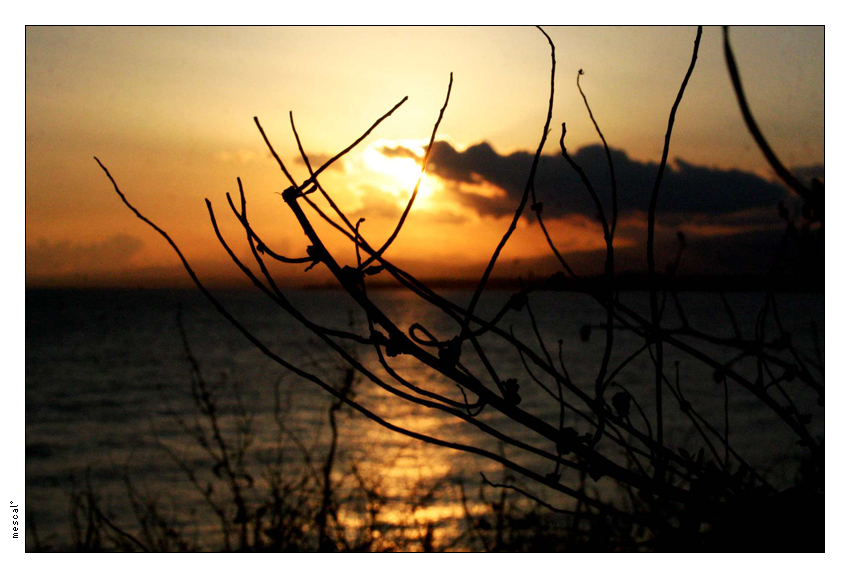 sterpaglia con tramonto :D