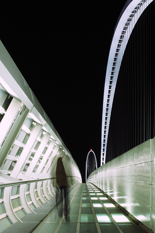 [Raduno Photo4U Reggio Emilia] Sul Ponte di Calatrava