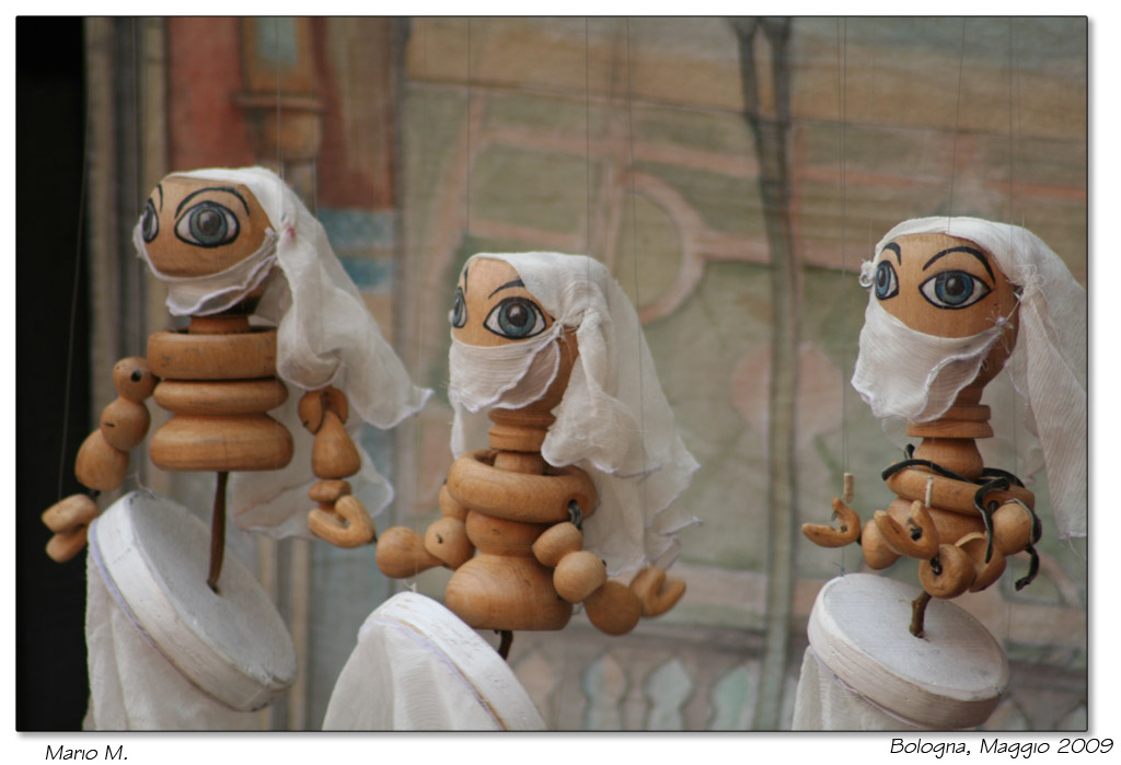 danzatrici del ventre