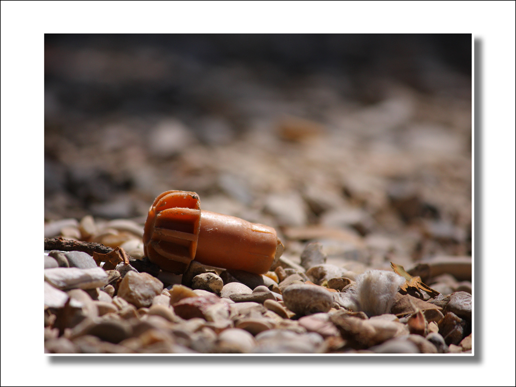 Cio' che resta delle feste...