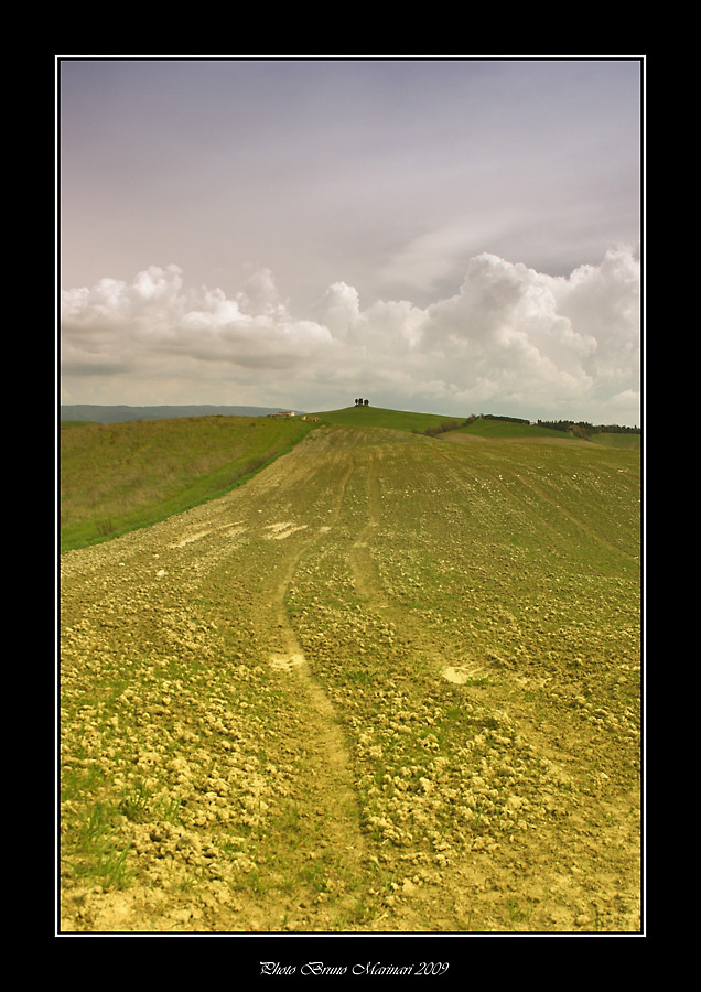Aspettando il nuovo raccolto