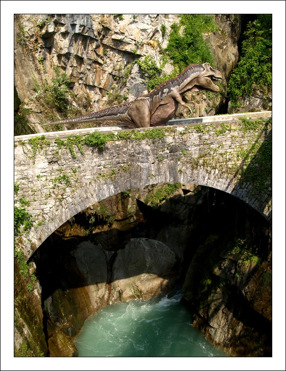 avvistamento di un T-Rex