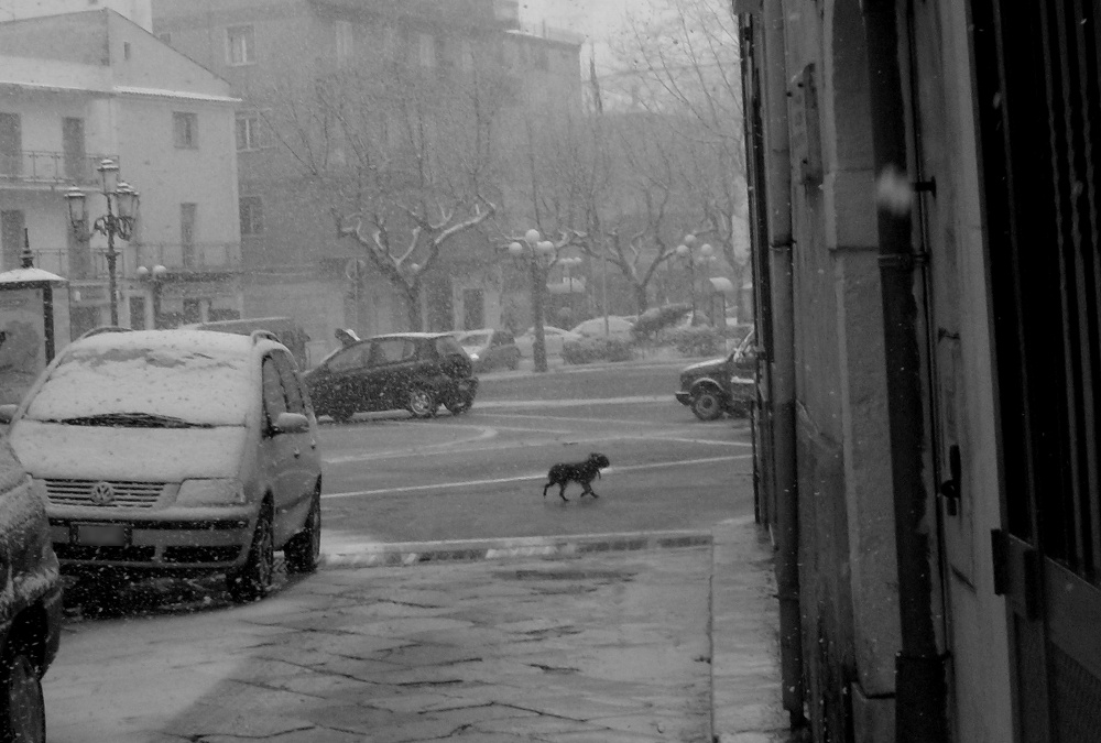 Primo giorno di primavera...