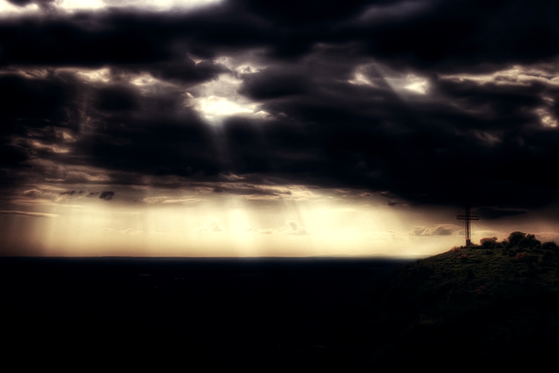 di pecore e di leoni