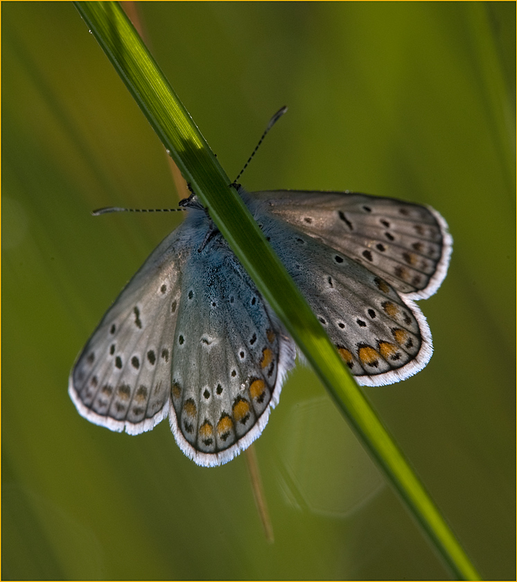 Il Sole che scalda..