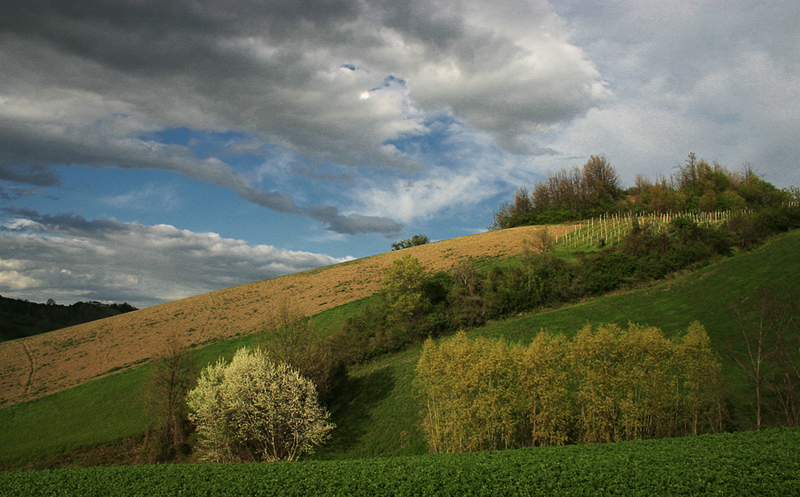 Colline di Vigoleno