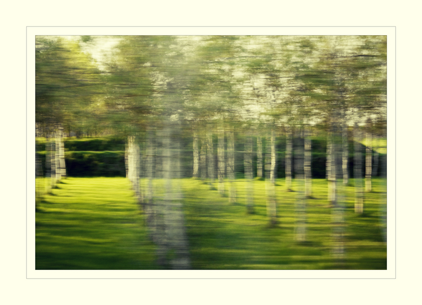 the land by train #2