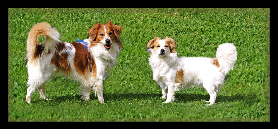 Fratello e Sorella..
