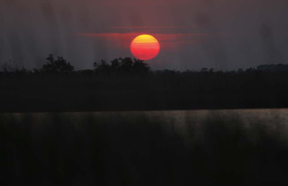 Tramonto in camargue 2