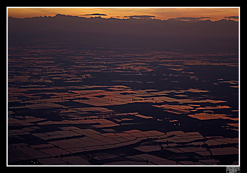 Risaie dall'aereo