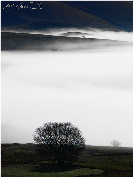 Nebbia a Monte Prata