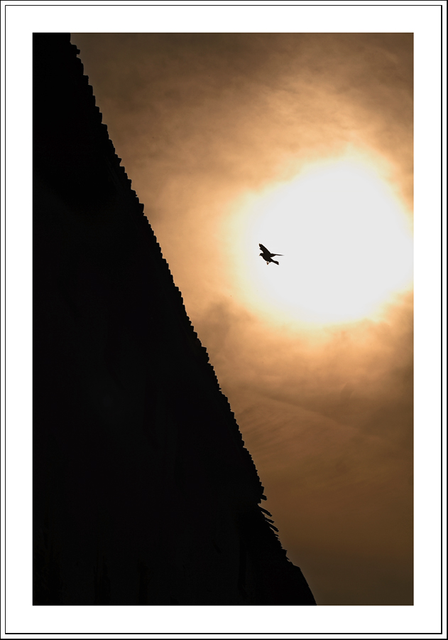 Atterraggio in controluce