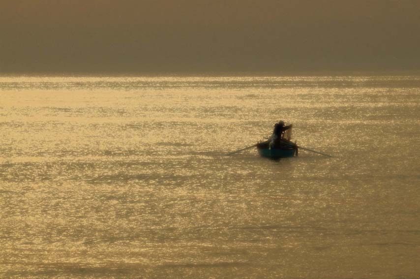 gold sea.....