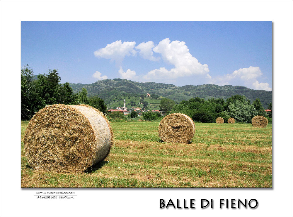 Balle di fieno