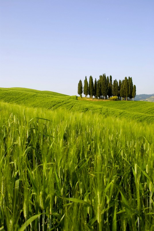 Val d'Orcia