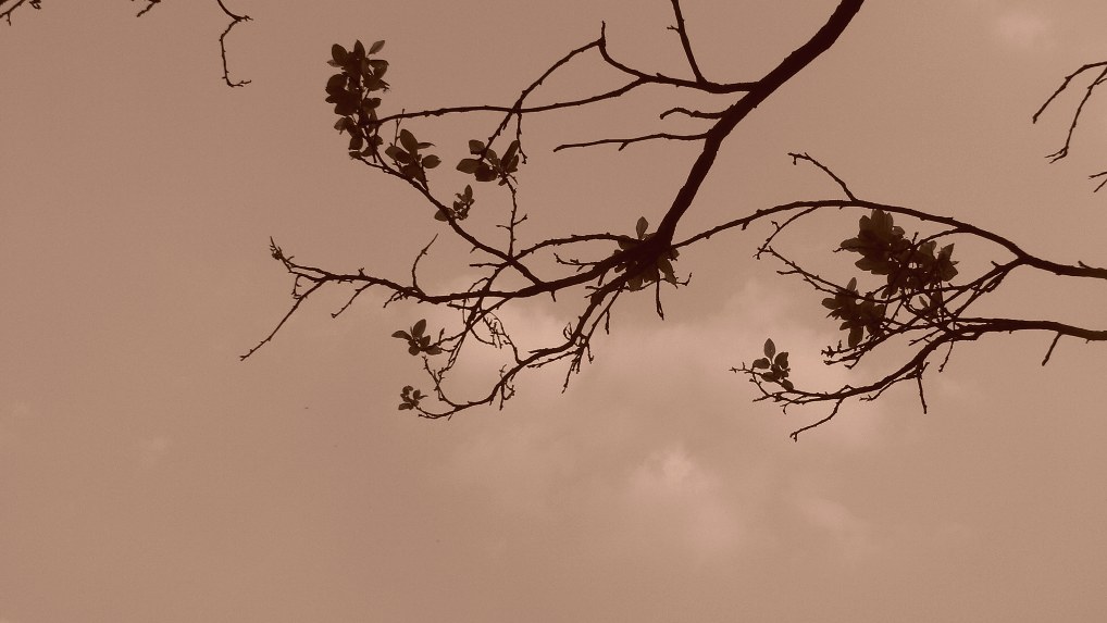 C'era vento...vento di tempesta...