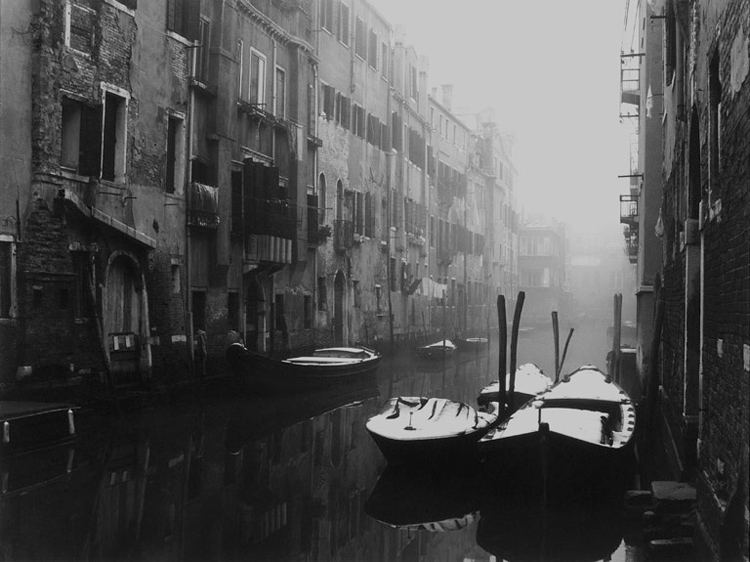 Non gridi n� voli n� stridi n� canti