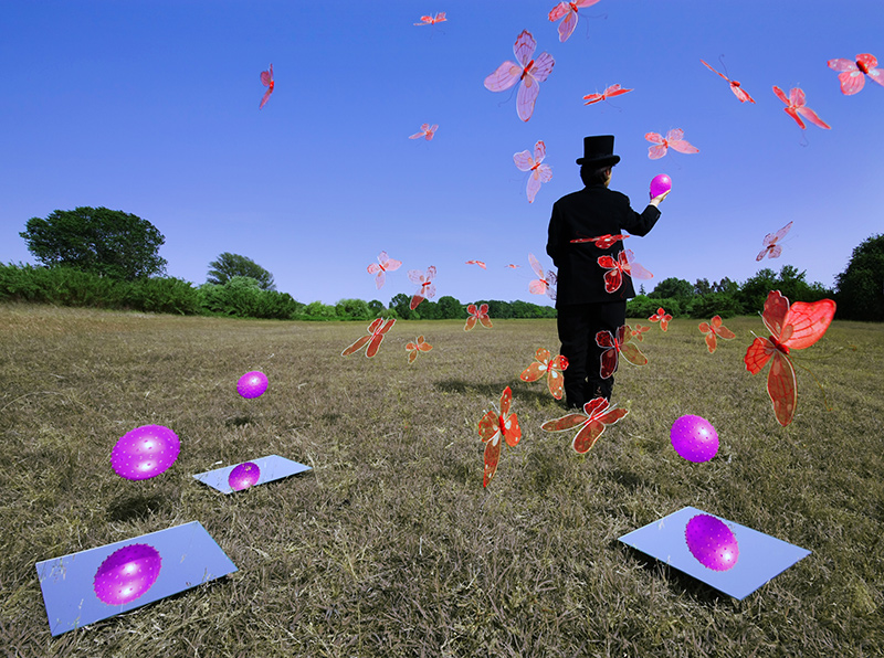 Food for butterflies