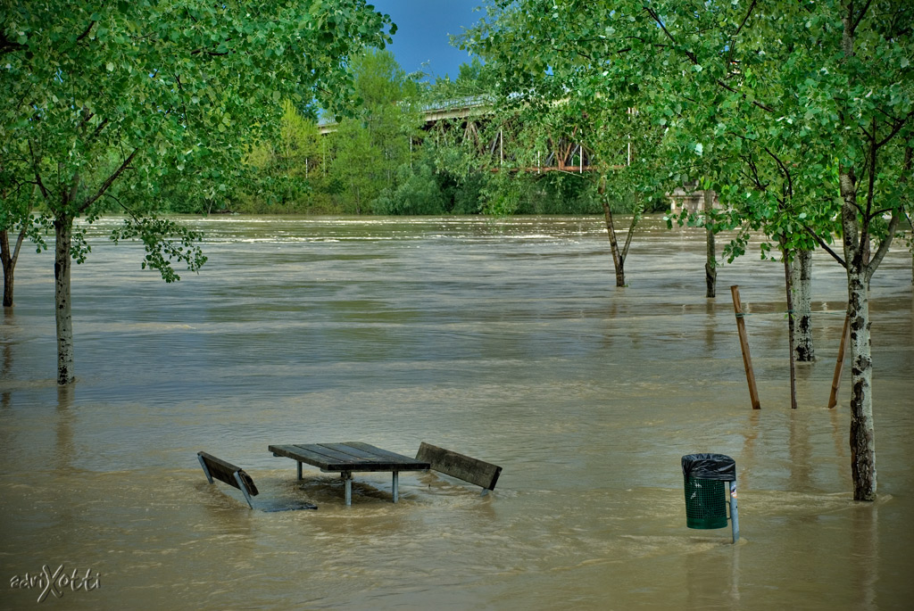 Facciamo merenda...?