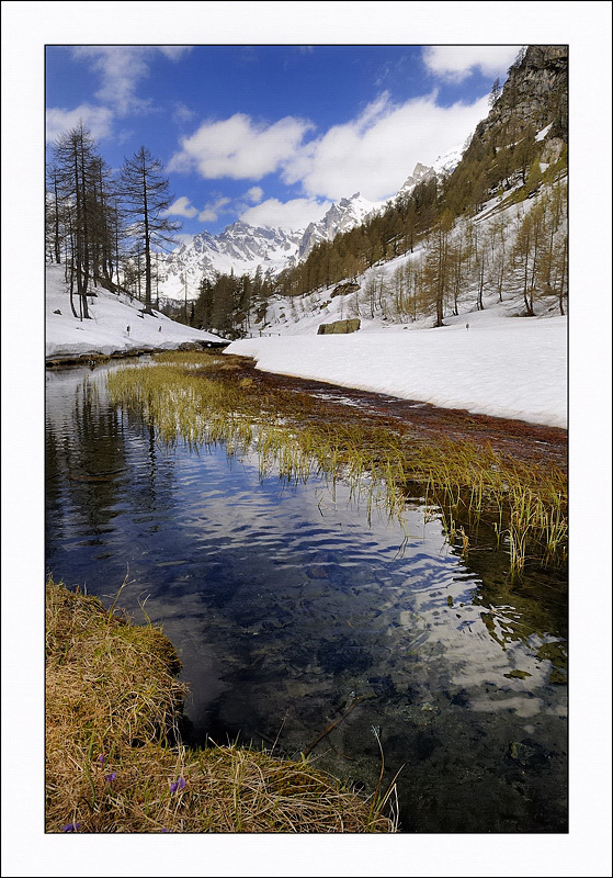 alternanza di colori