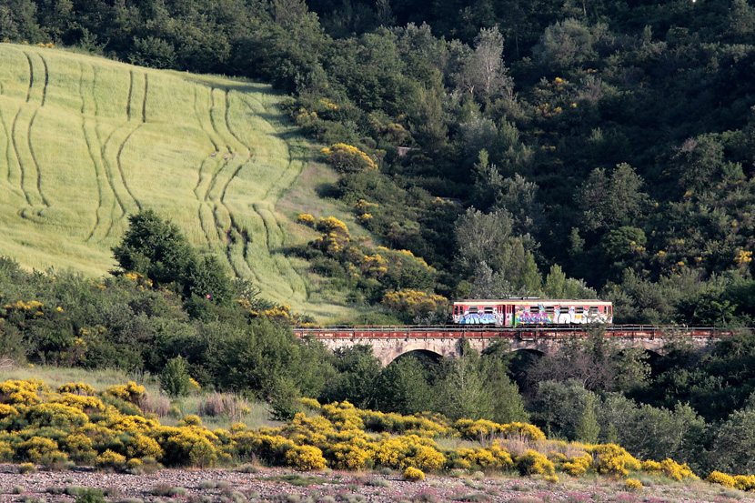 giochiamo col trenino?