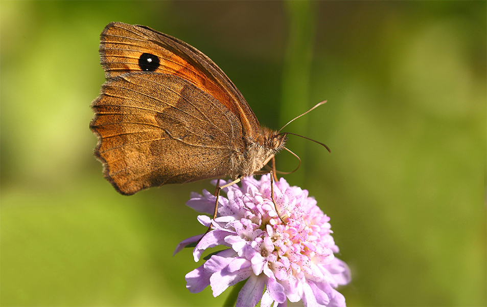 ...Positivo & Negativo...!!!