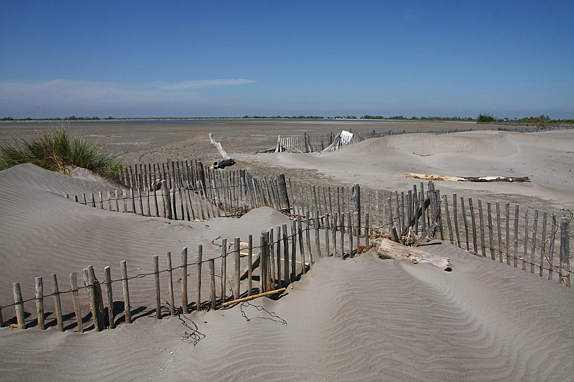 ...DIFESA DELLA TERRA...