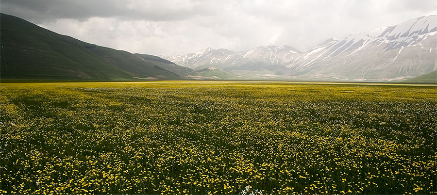 in fondo ......... Castelluccio