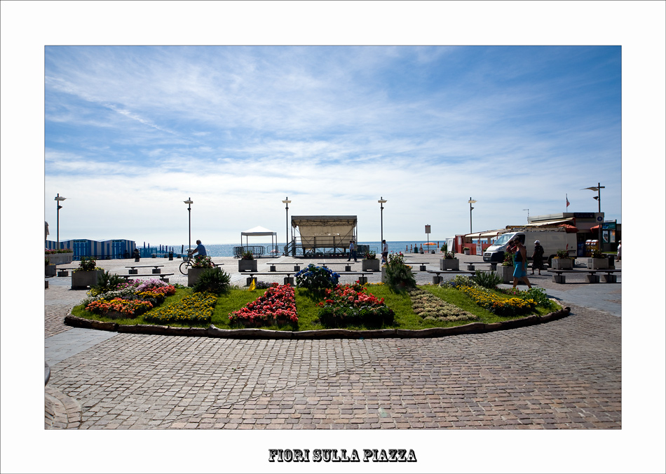 Fiori sull piazza