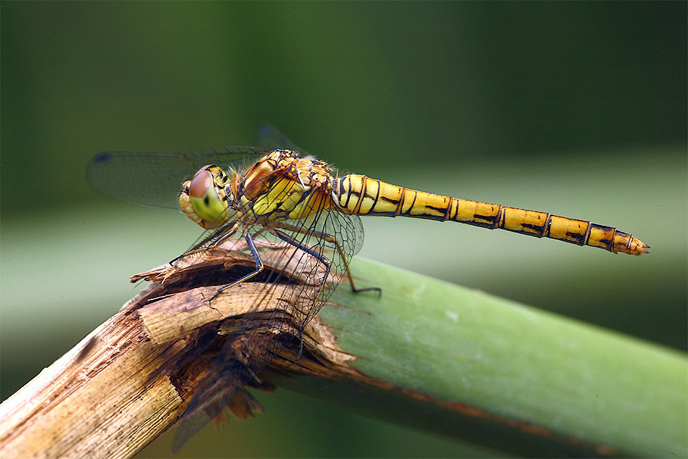 ...I Soliti Incontri...!!!