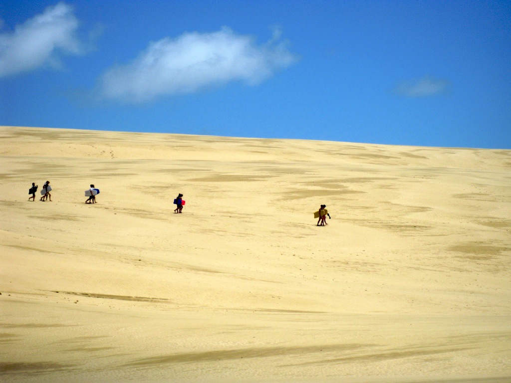 body surfin' in New Zealand