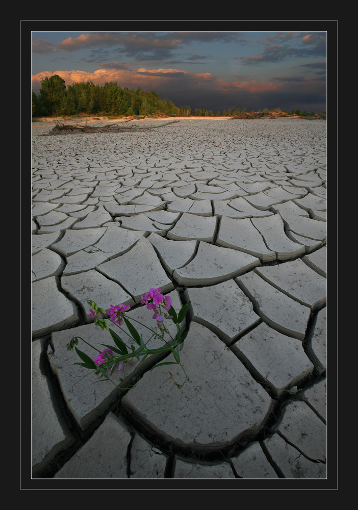 senza luce (era il mio stagno preferito)