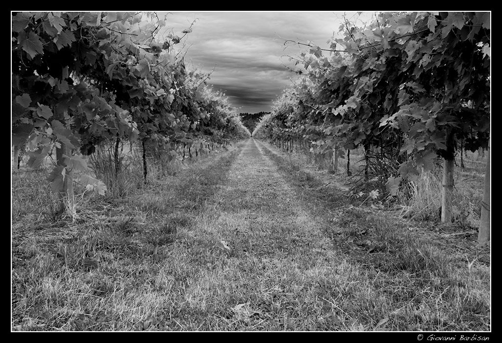 Prima della tempesta