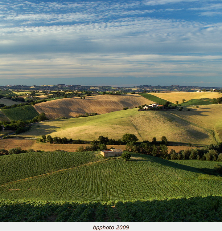 ...colline al tramonto...