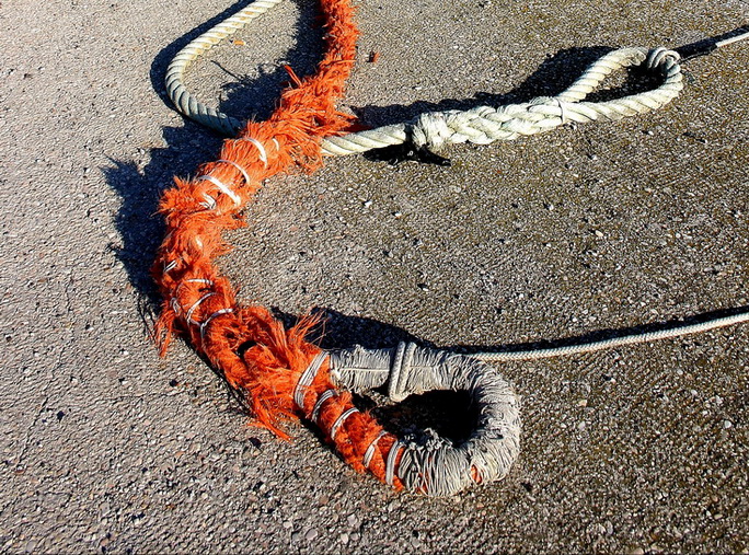 red sea - particolare