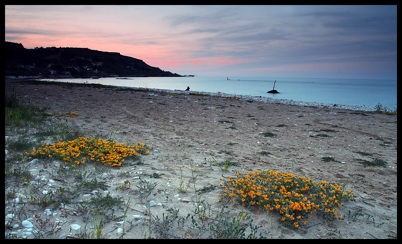 Contest 2 - 28 classificato