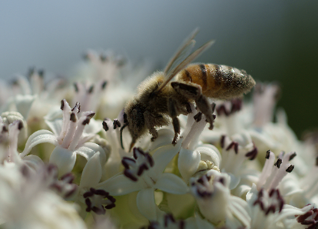 Quant'� bono...il gelato