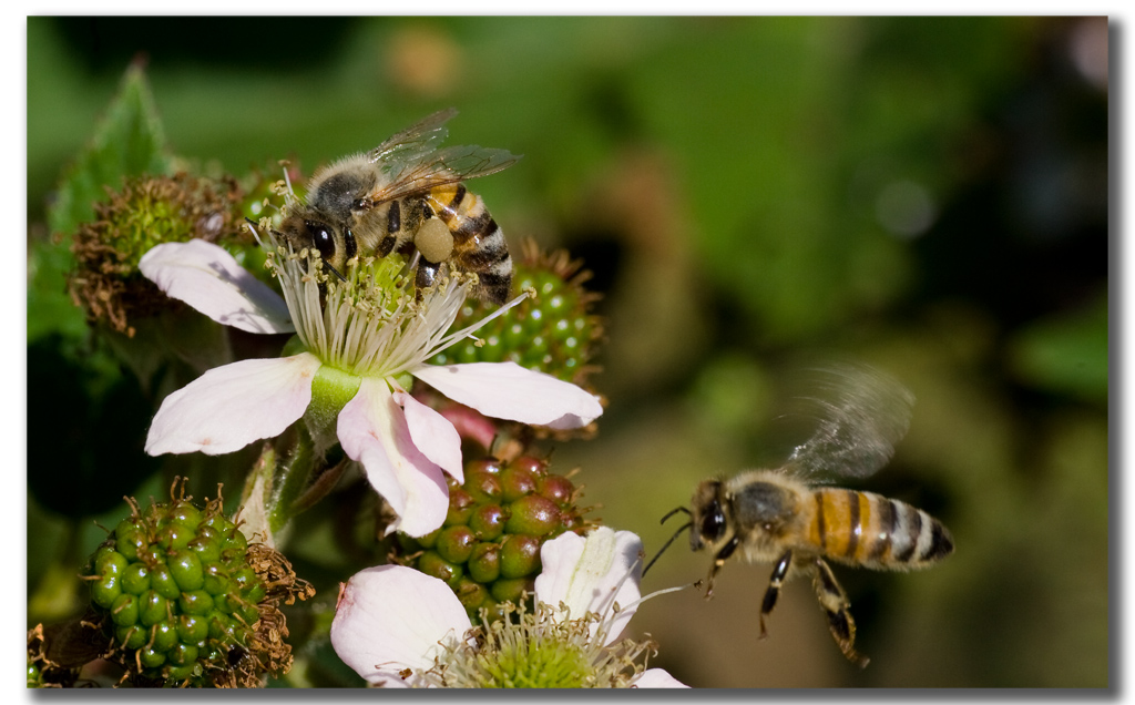 ...ce n'� per tutti...