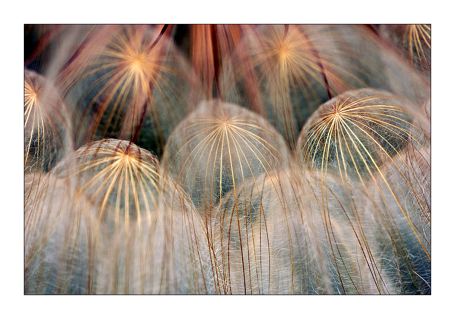 Natural fires (colori)