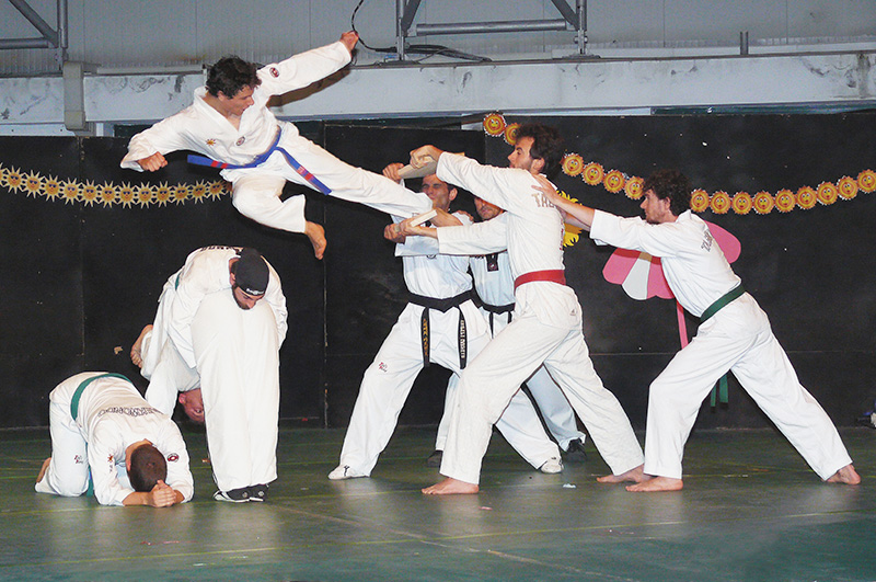 Dimostrazione Taekwondo