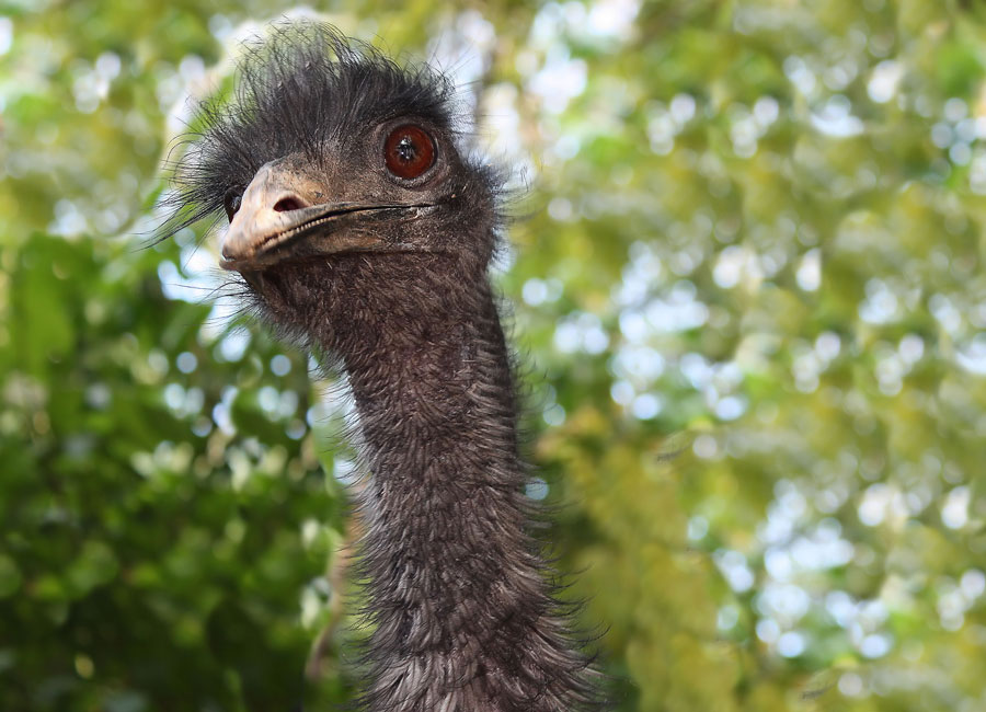 Cosa stai facendo???