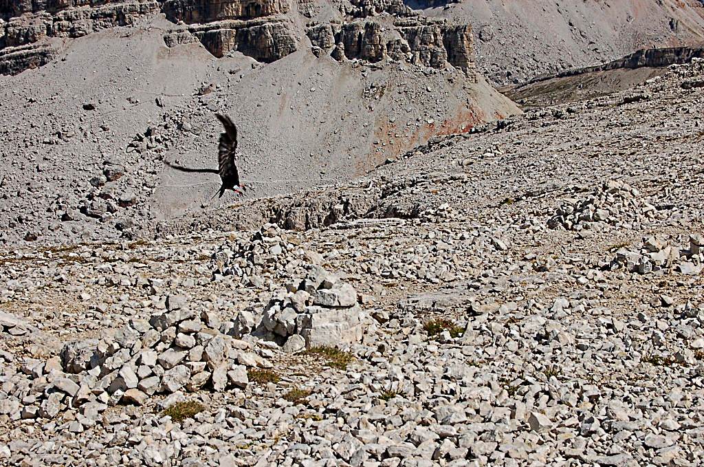 'Atterraggio sulle Dolomiti'..
