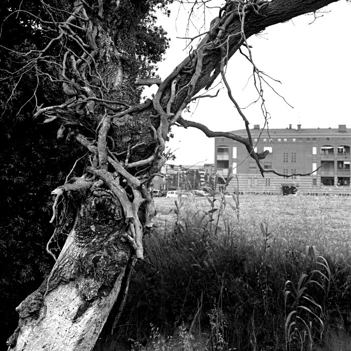 Il mio quartiere 006