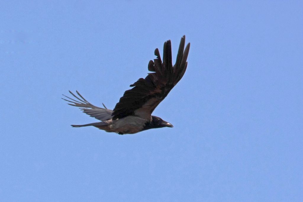 La paura dei piccoli