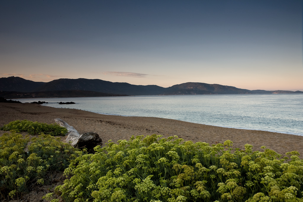 Un nuovo giorno. Dedicata a...