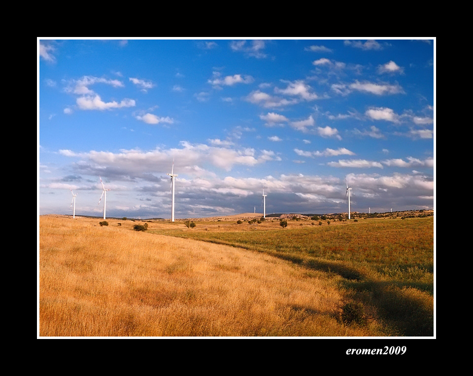 ...CAMPO EOLICO...